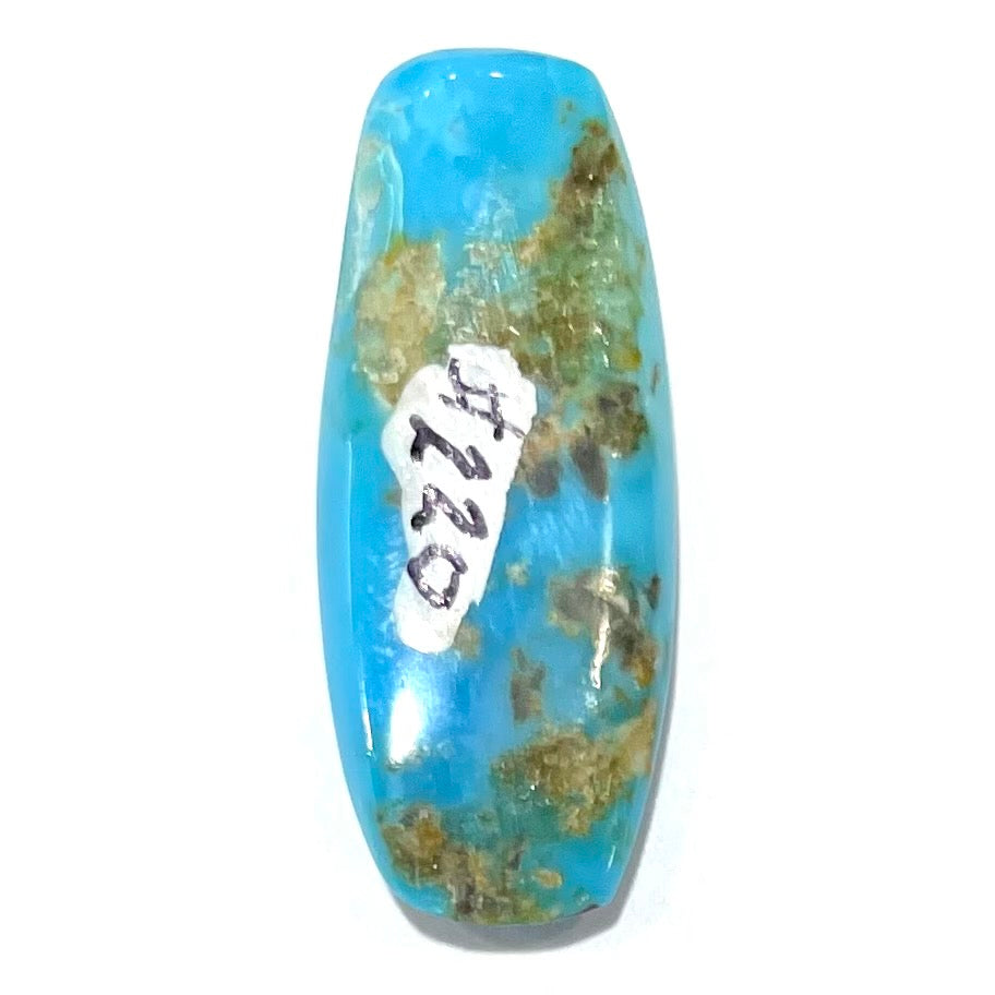Turquoise #220 | Sleeping Beauty
