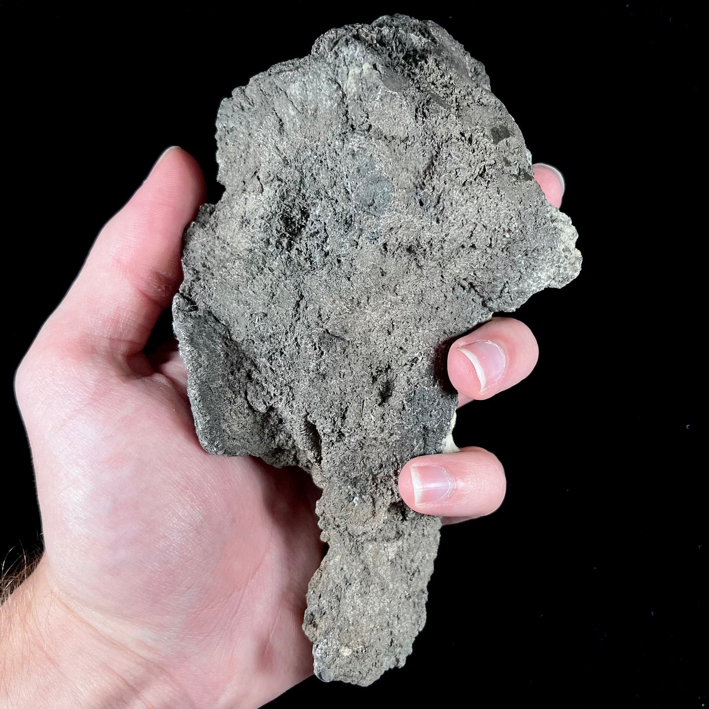 A native silver ore specimen from Colorado, USA.