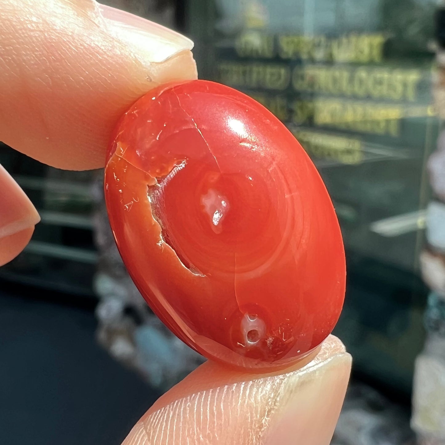 A large, loose red coral cabochon that measures 1 inch by 0.7 inches.