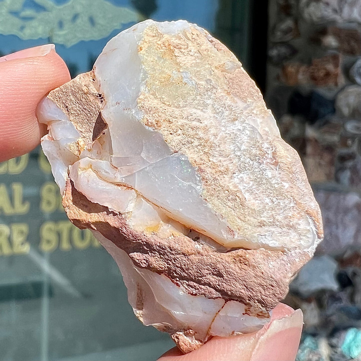 A preform polished matrix opal specimen from White Bluffs, Australia. Predominant colors are red, green, and violet.