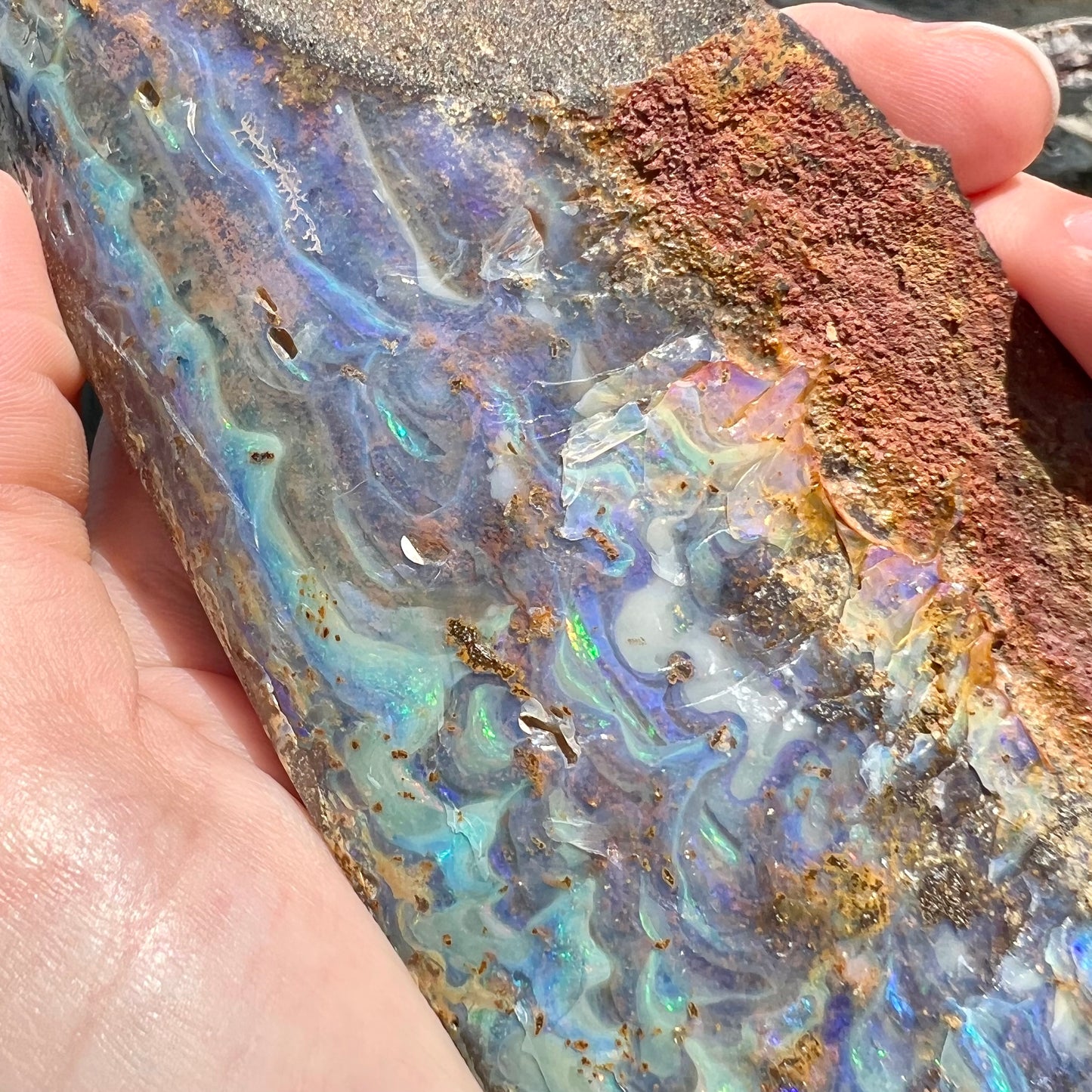 A 7 inch long, polished Quilpie boulder opal specimen. The stone shows colors of blue, green, and orange.
