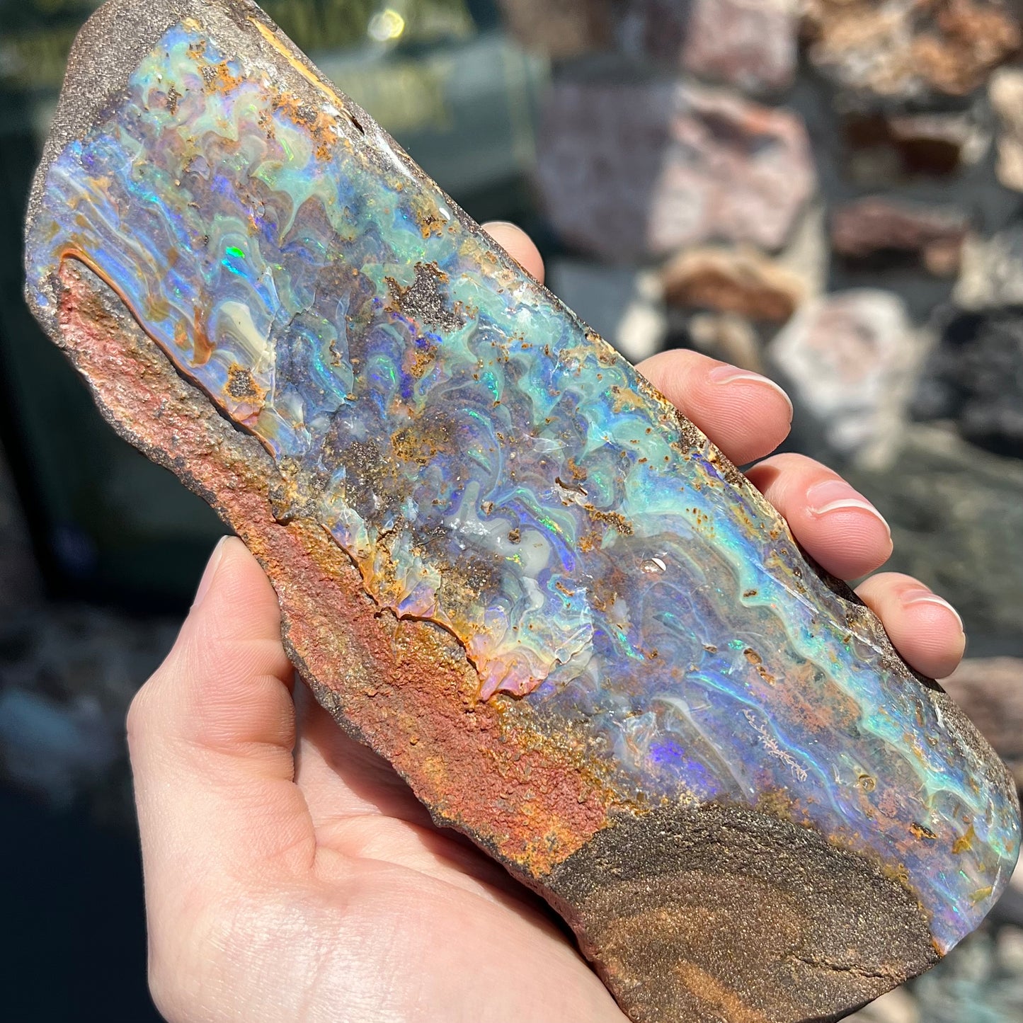 A 7 inch long, polished Quilpie boulder opal specimen. The stone shows colors of blue, green, and orange.