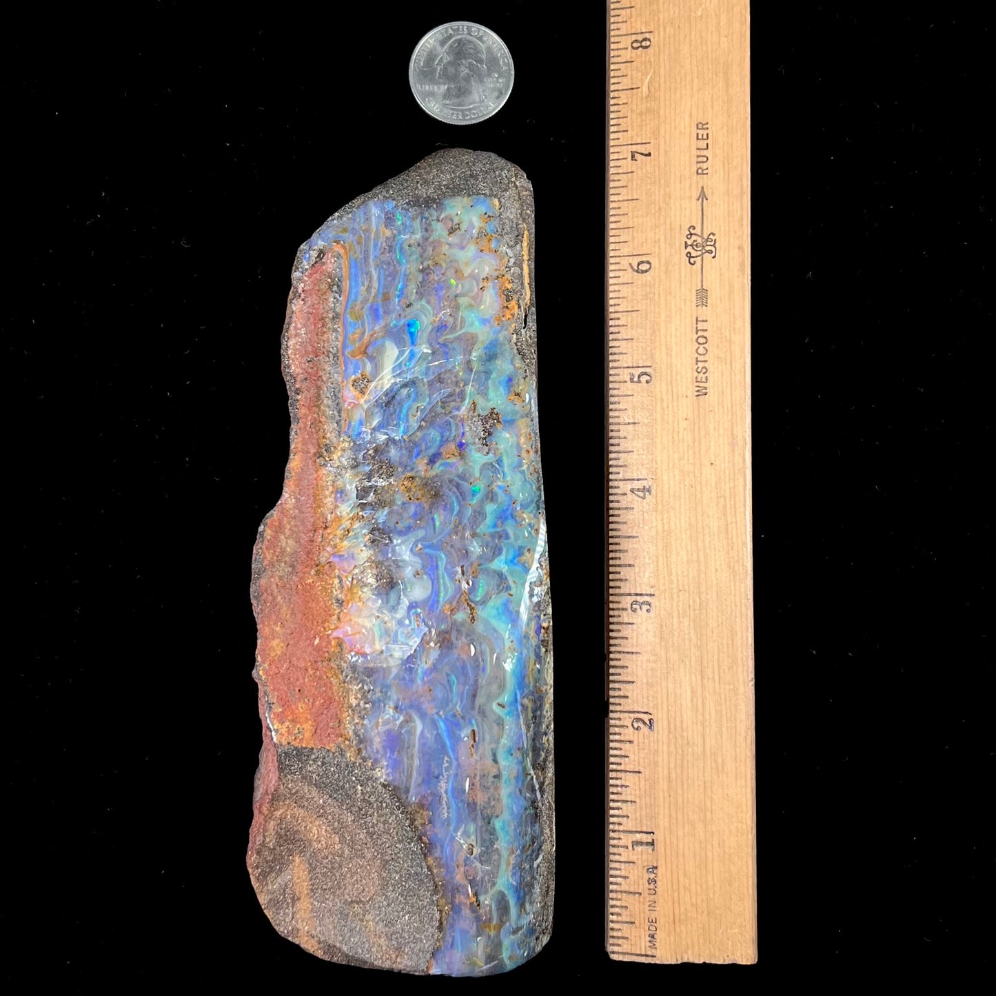 A 7 inch long, polished Quilpie boulder opal specimen. The stone shows colors of blue, green, and orange.
