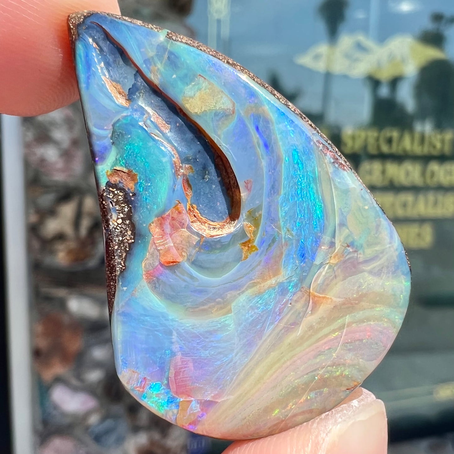 A polished pear shaped boulder opal stone from Quilpie, Australia. Predominant colors are blue, green, and aqua.