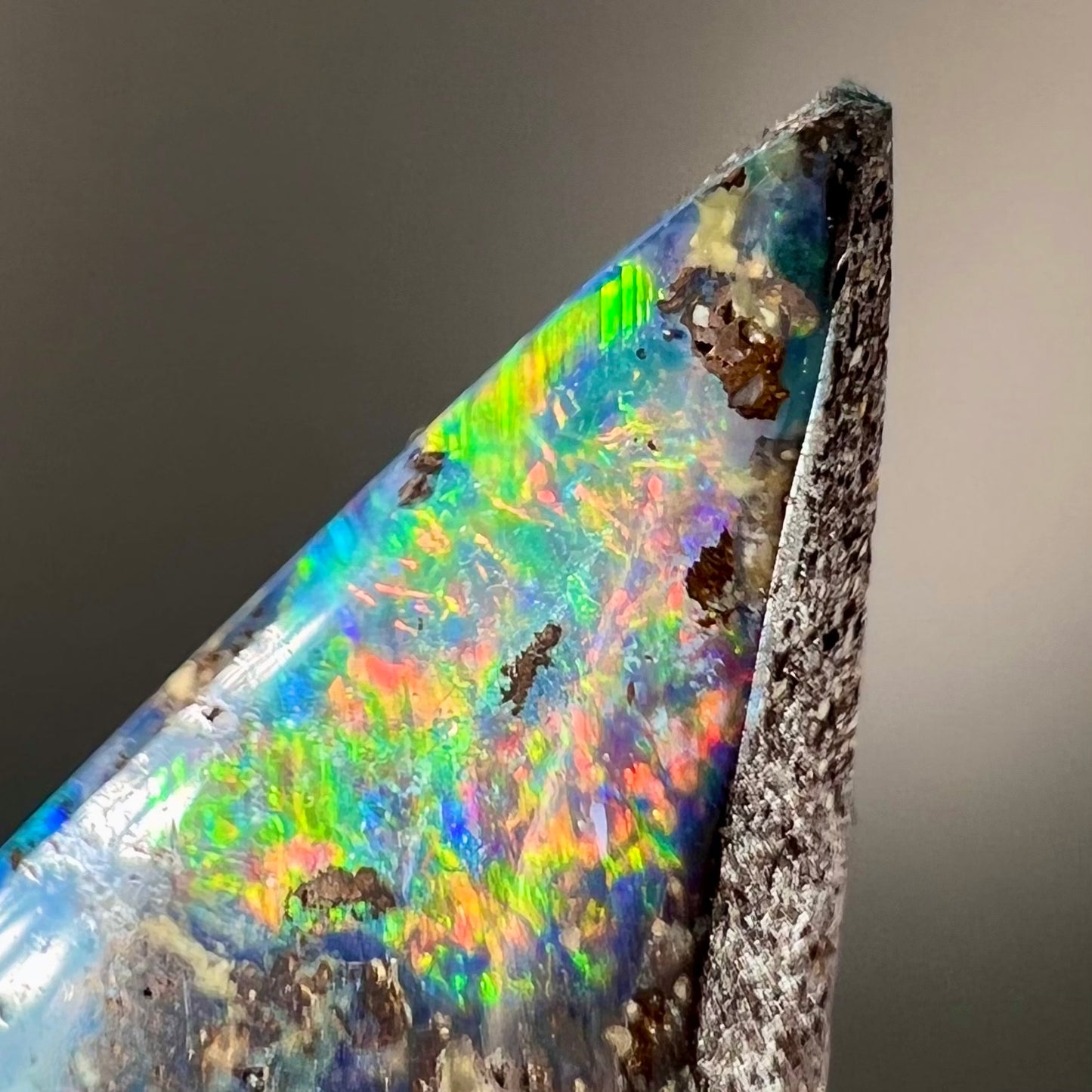 A loose Quilpie boulder opal stone. The stone is blue and has a bright rainbow tip.