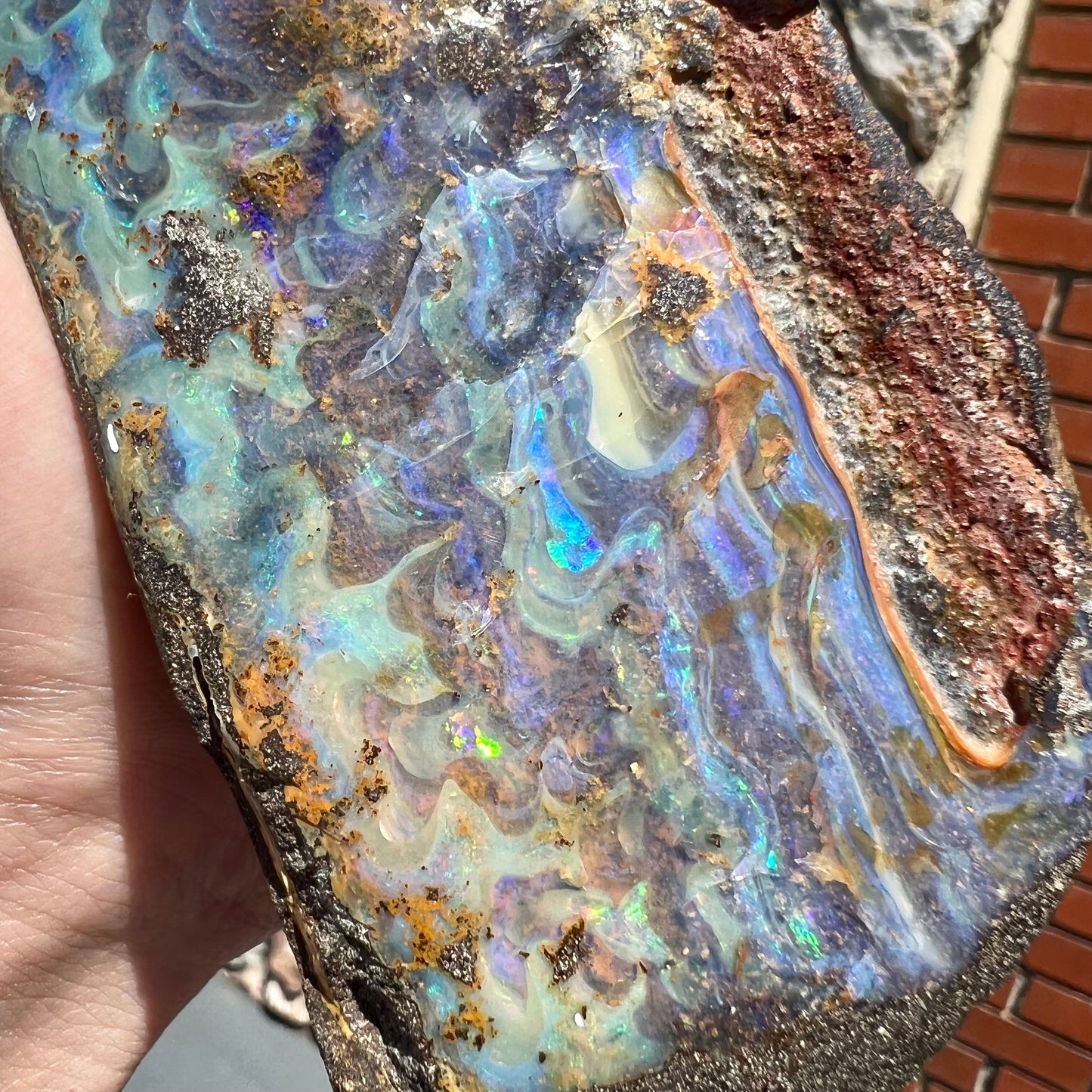 A 7 inch long, polished Quilpie boulder opal specimen. The stone shows colors of blue, green, and orange.