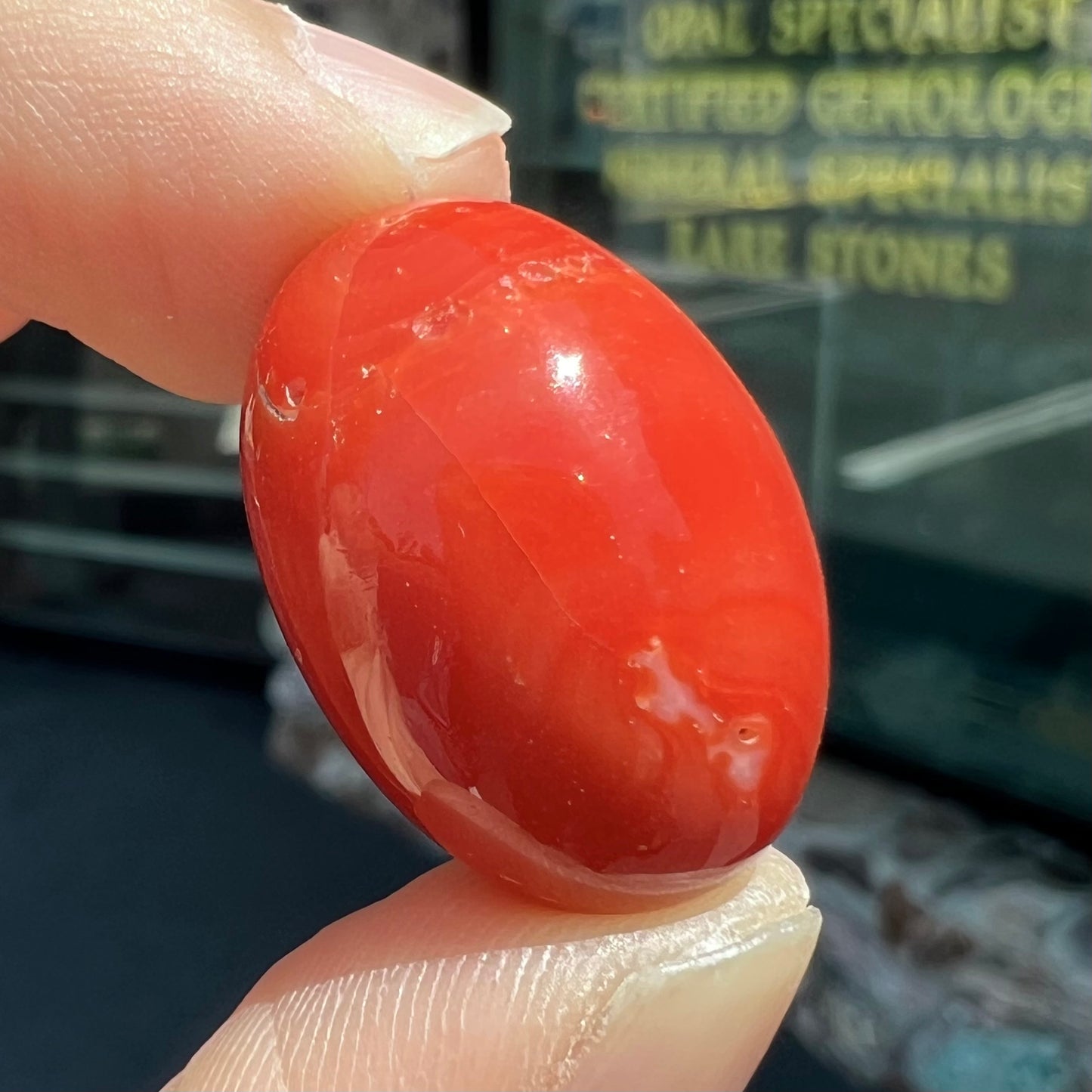 A large, loose red coral cabochon that measures 1 inch by 0.7 inches.