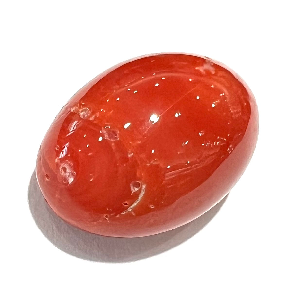 A large, loose red coral cabochon that measures 1 inch by 0.7 inches.