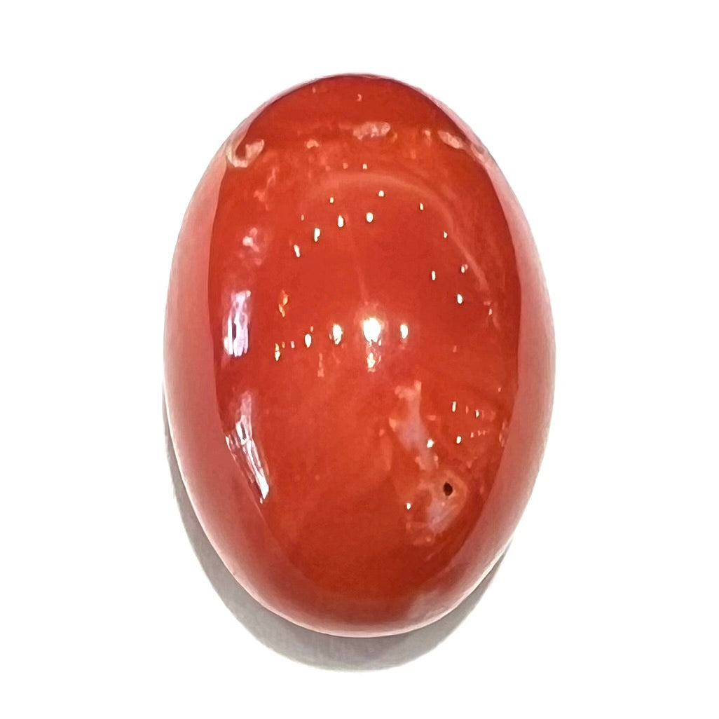 A large, loose red coral cabochon that measures 1 inch by 0.7 inches.