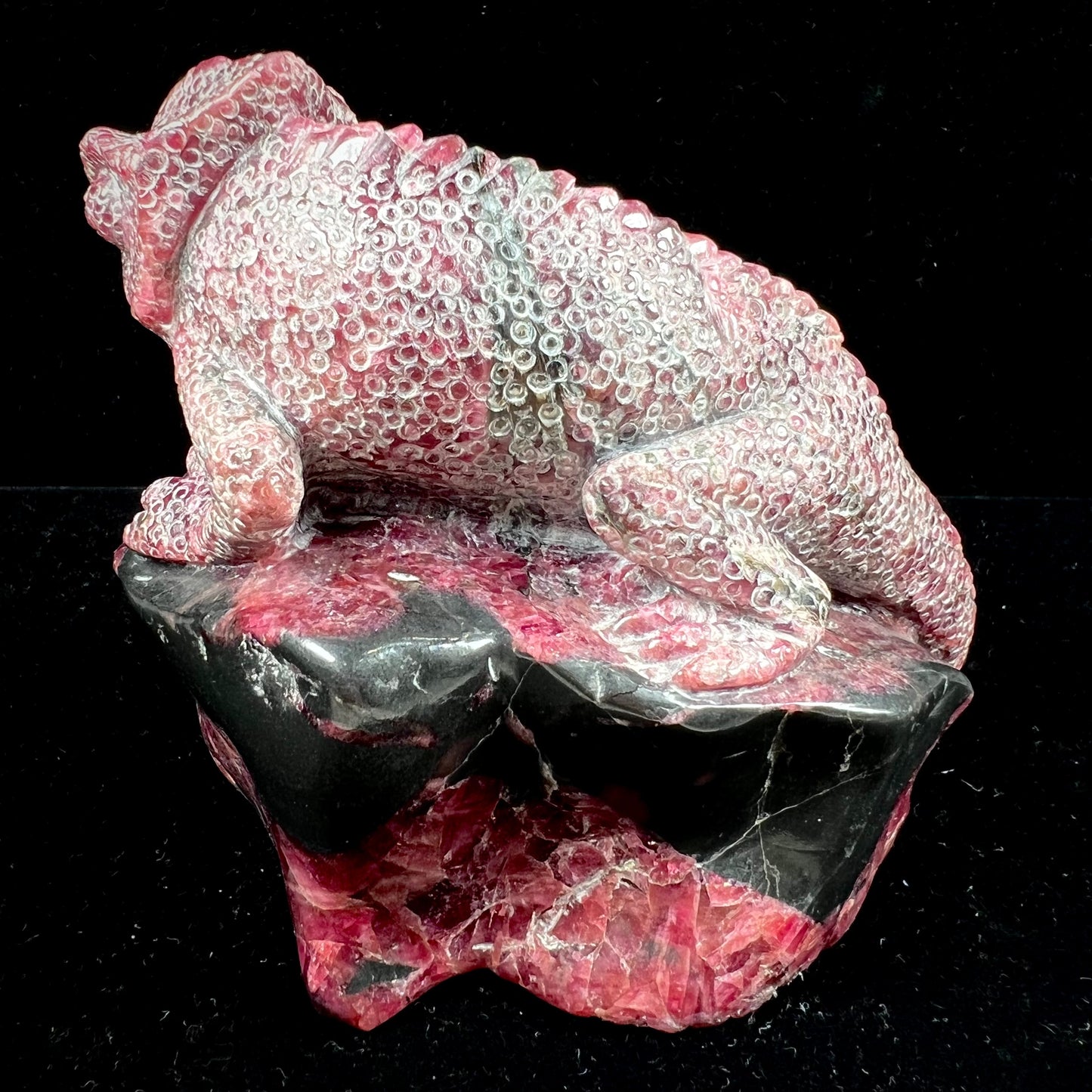 A stone chameleon lizard carved from natural rhodonite by artist, Ronald Stevens.