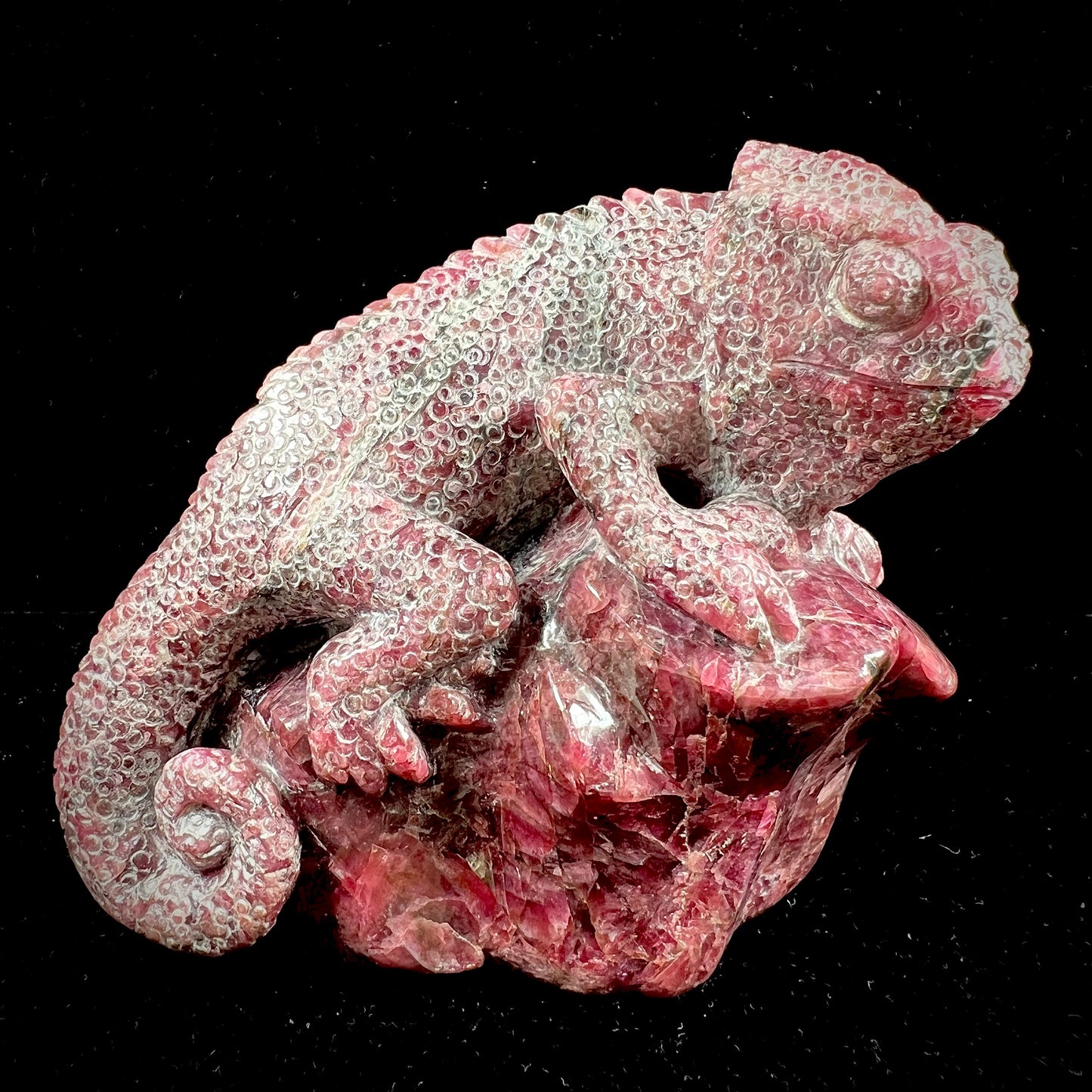 A stone chameleon lizard carved from natural rhodonite by artist, Ronald Stevens.