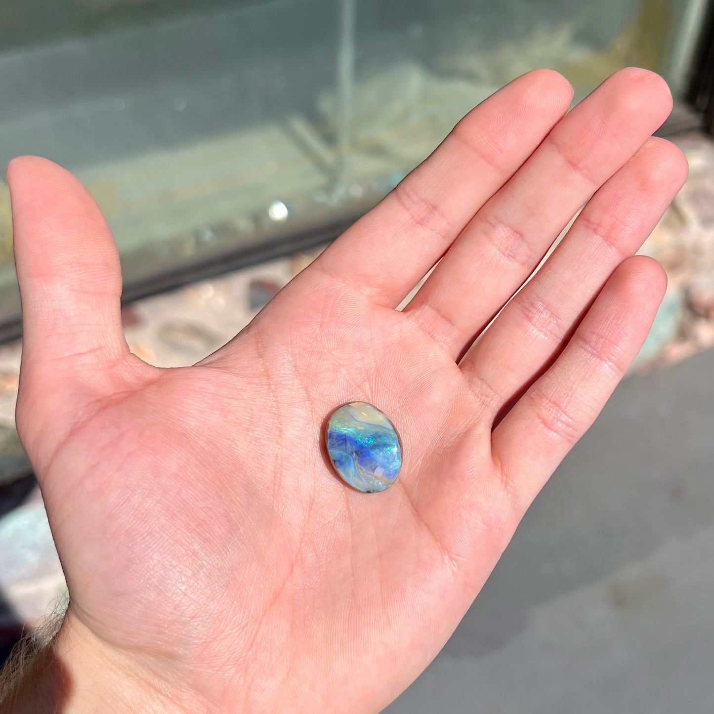A loose, oval cabochon cut Australian boulder opal stone.
