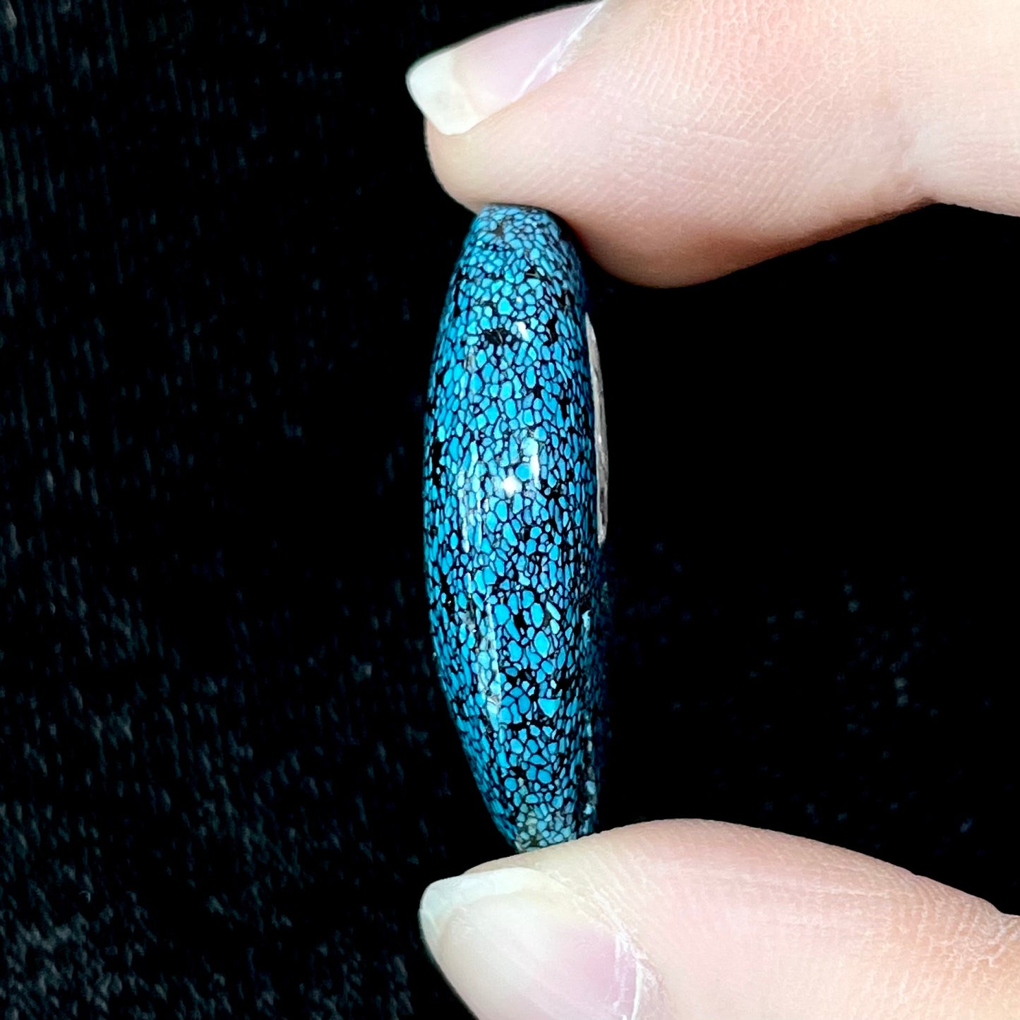 Turquoise #1B | Kingman Black Web