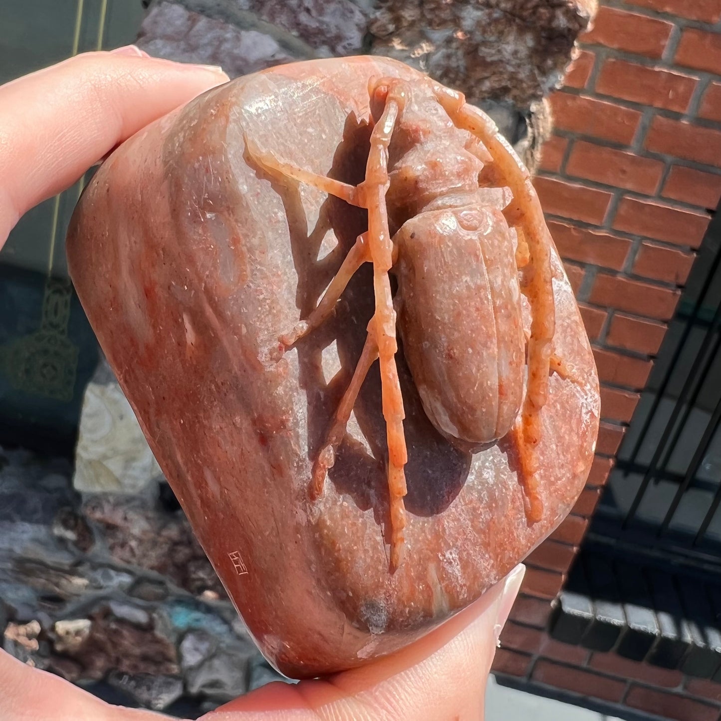 A stone Palo Verde beetle carved from brown jasper.