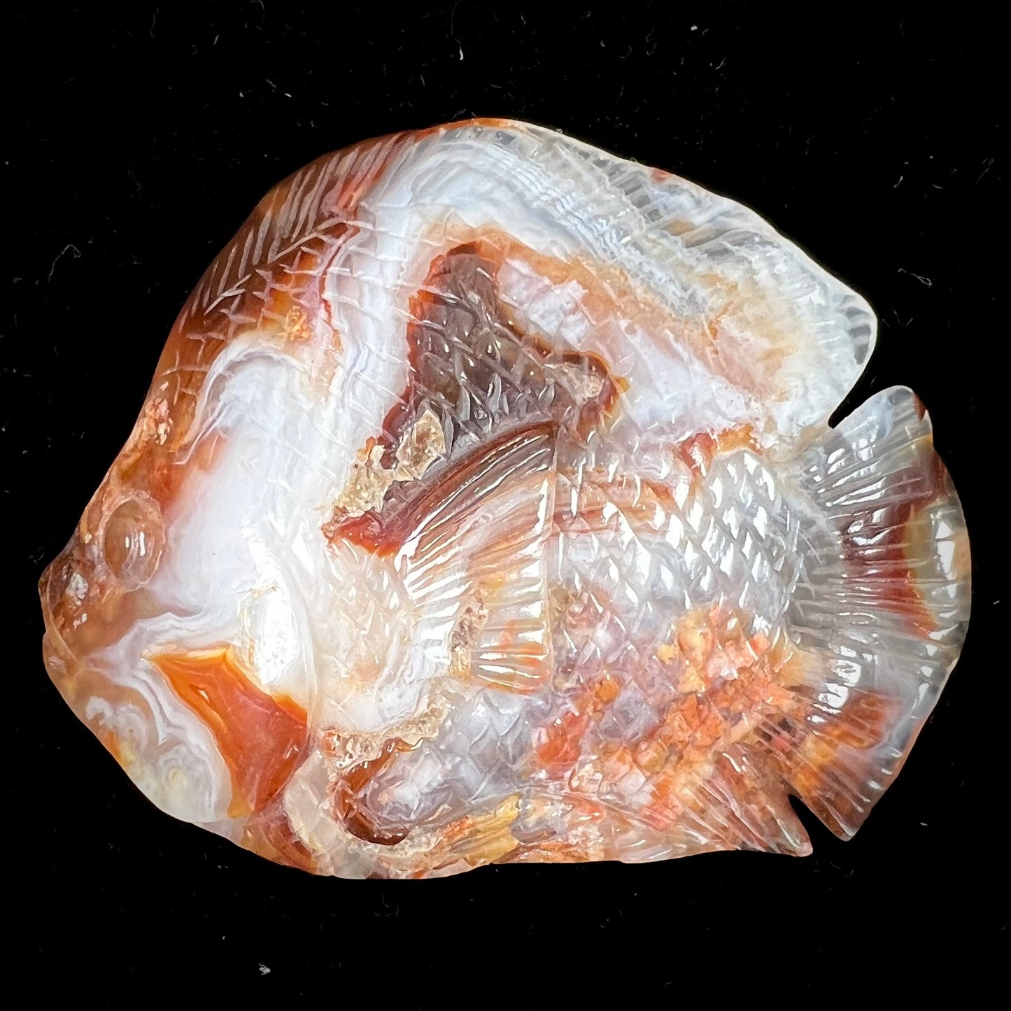 A stone fish carved from Northern Mexican fire agate. The material is brown and white.
