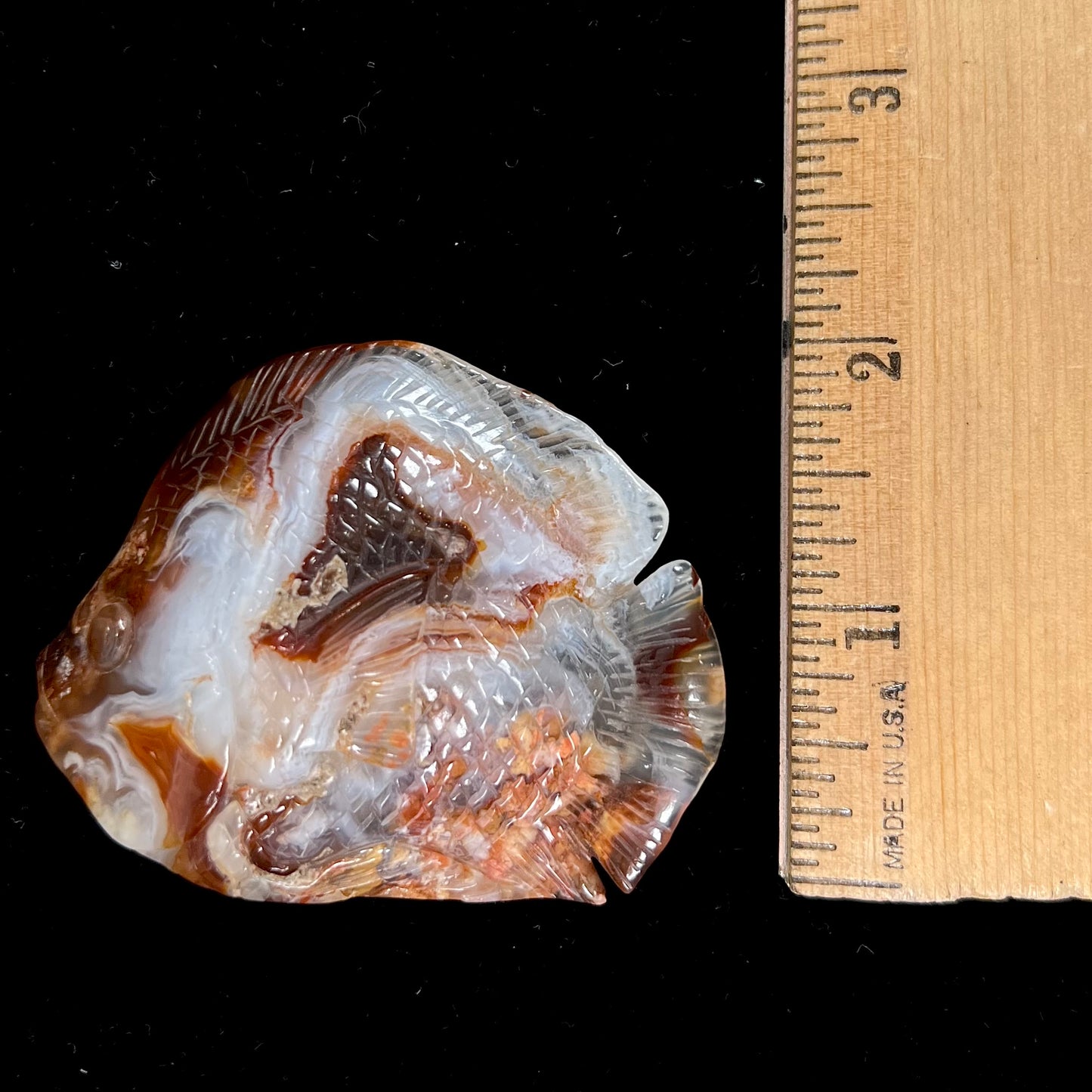 A stone fish carved from Northern Mexican fire agate. The material is brown and white.