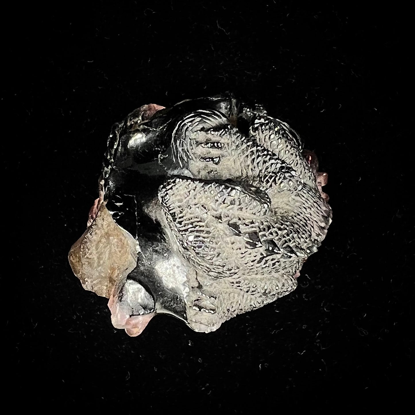 A stone lizard carved by artist, Ronald Stevens, from a liddicoatite tourmaline crystal.