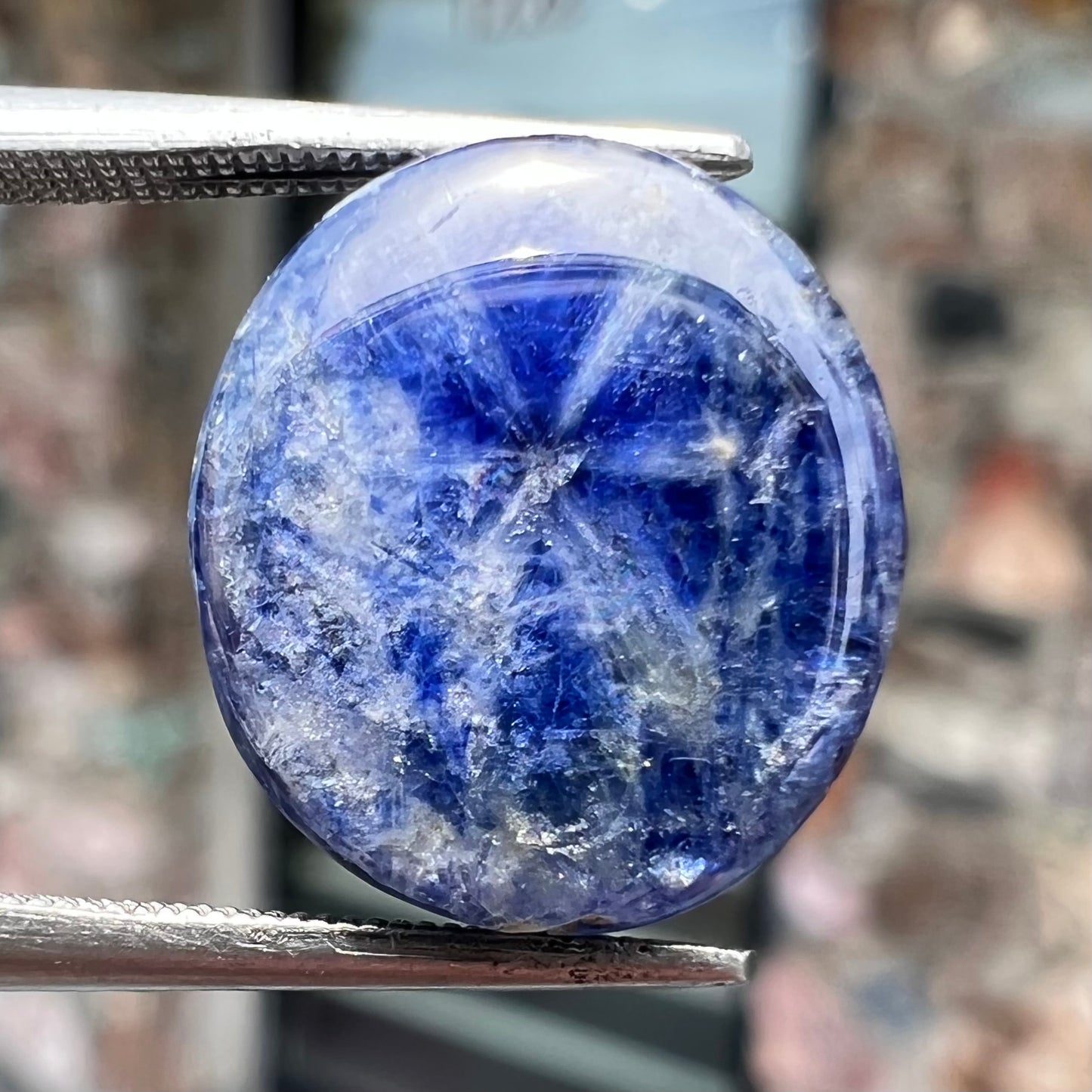 A loose, oval cabochon cut blue trapiche star sapphire stone.