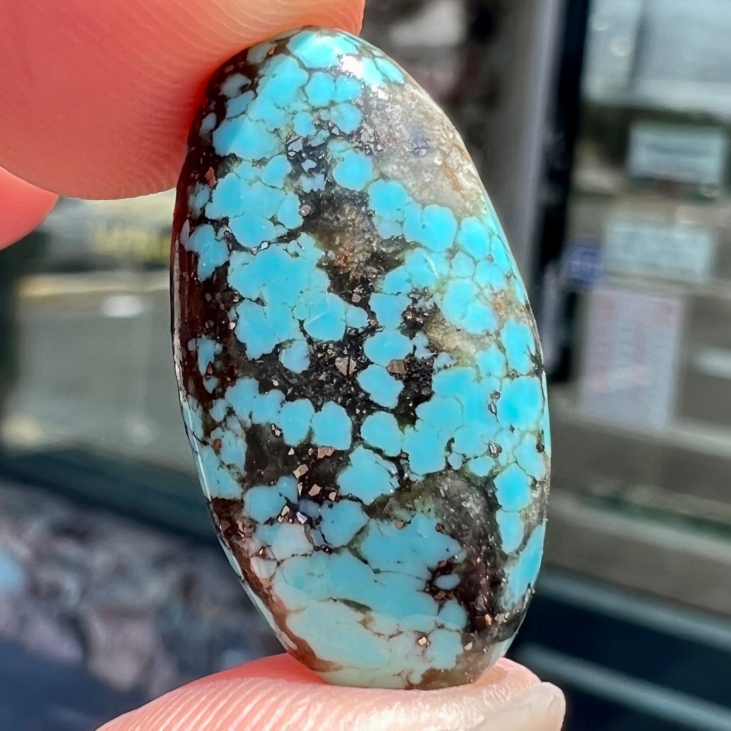 A loose, oval cabochon cut turquoise stone from the Valley Blue Mine in Lander County, Nevada.