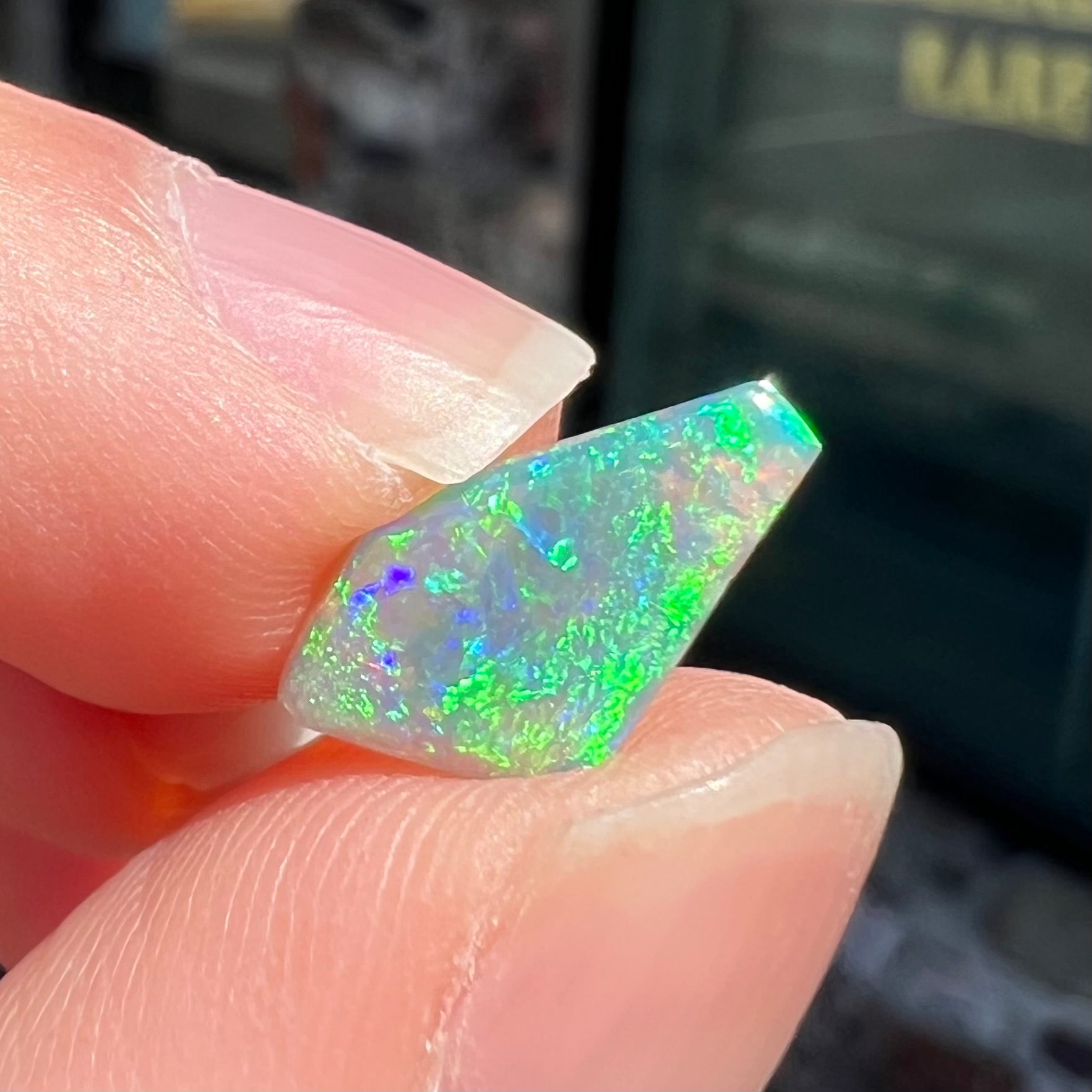 Lightning Ridge Crystal Opal Stone Burton's – Burton's