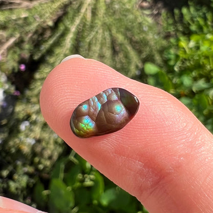 A loose, freeform cabochon cut Mexican fire agate stone that weighs 1.34 carats.  The stone is predominantly blue, purple, and green.
