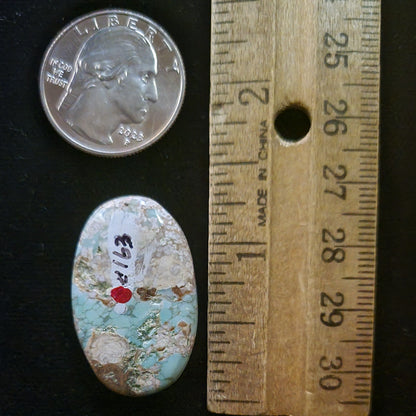 Variscite Cabochon | #163