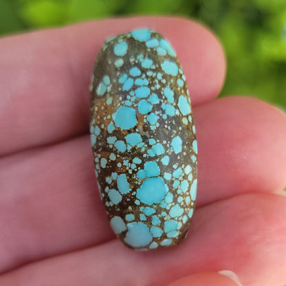Turquoise #176 | Number 8