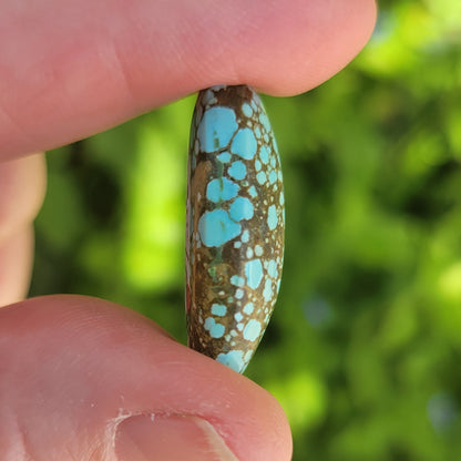 Turquoise #176 | Number 8