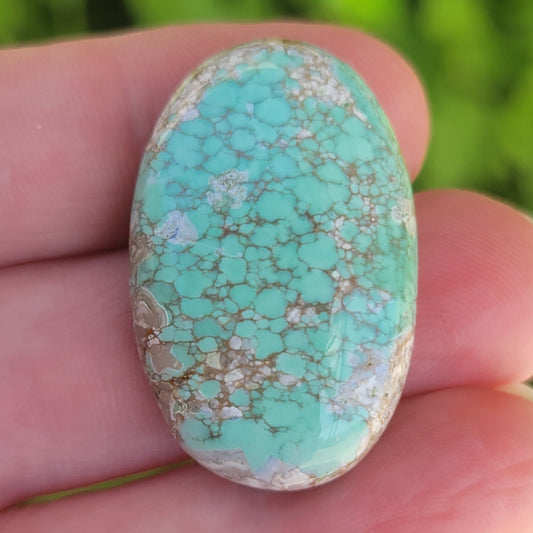 Variscite Cabochon | #163