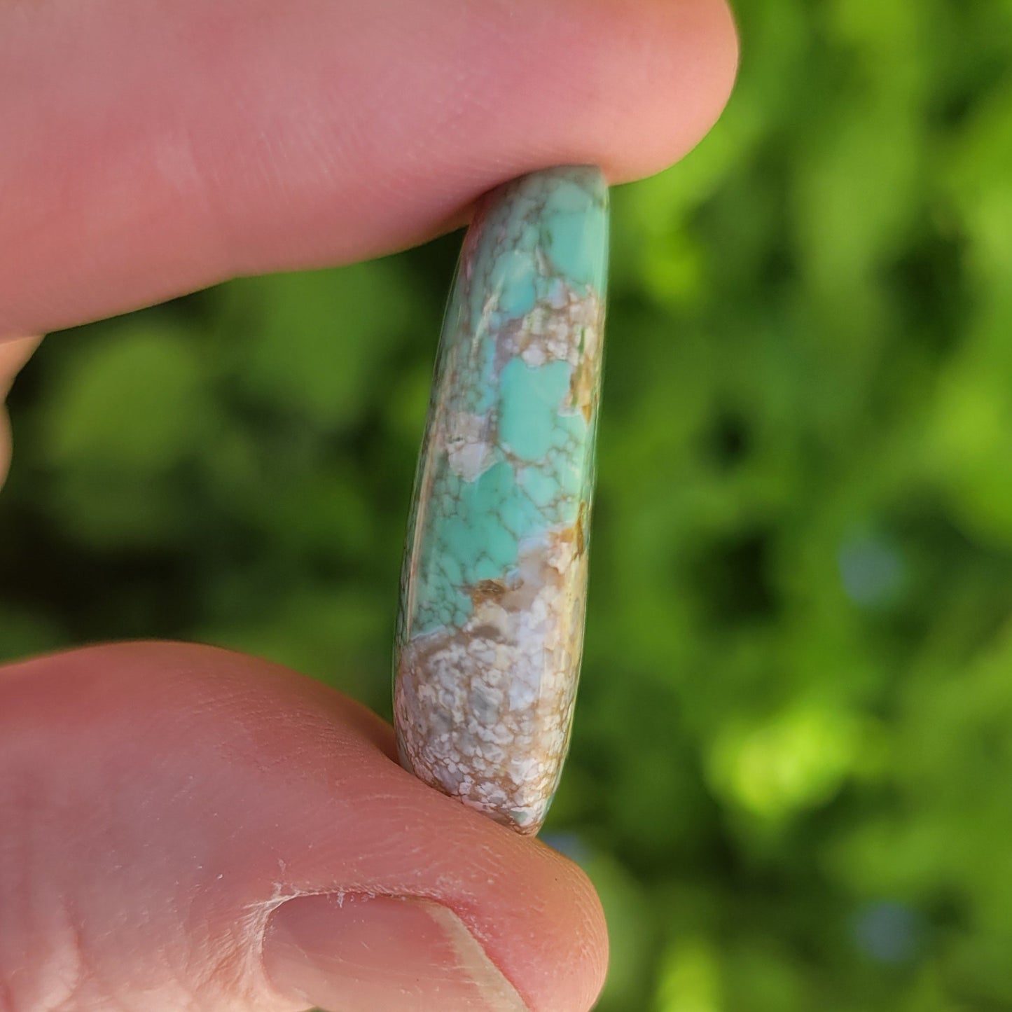 Variscite Cabochon | #163