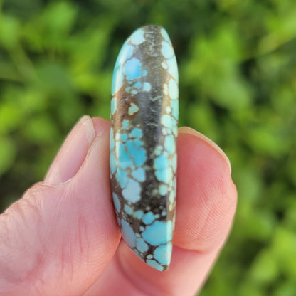 Turquoise #178 | Number 8