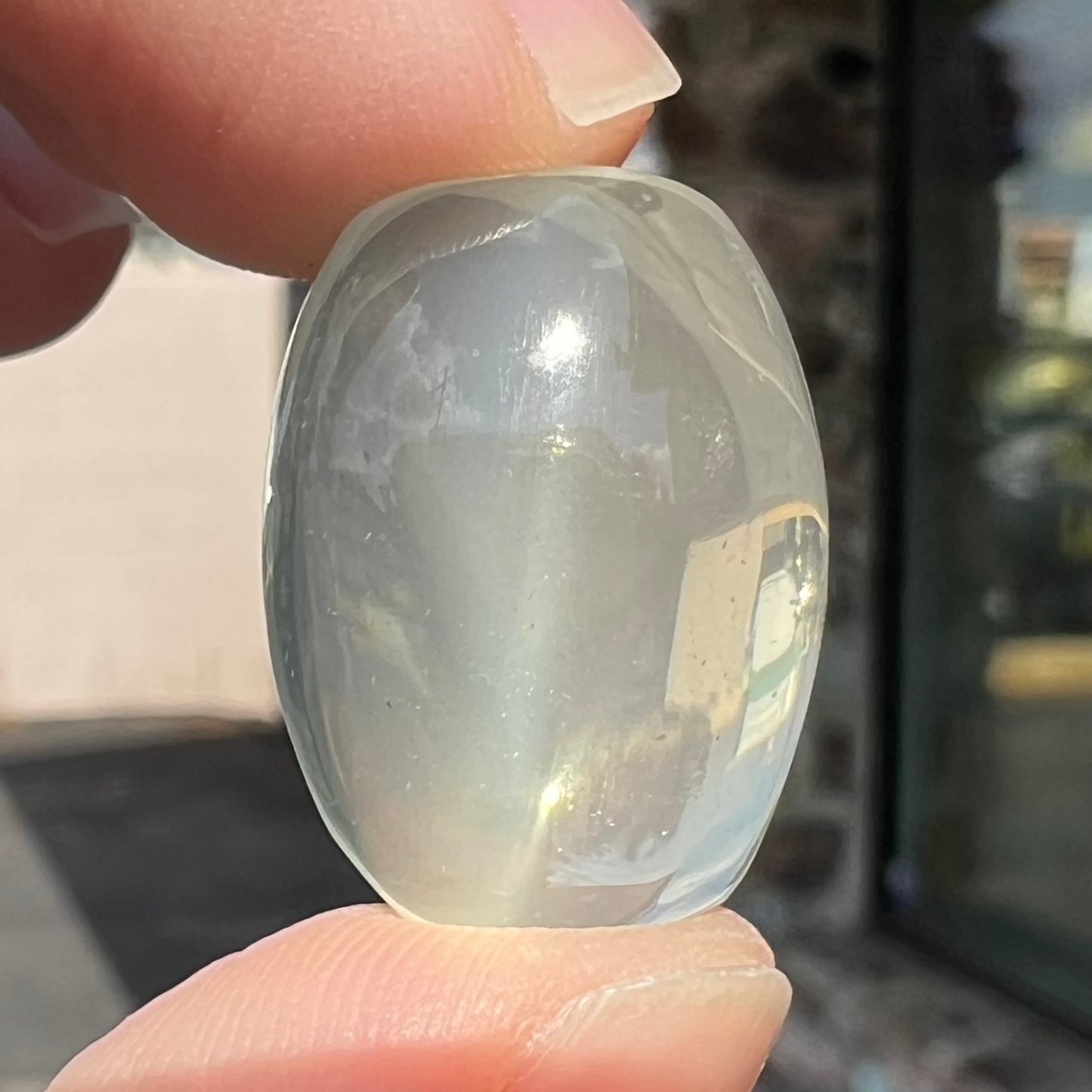 23.66ct Cat's Eye Moonstone, Cushion Cabochon