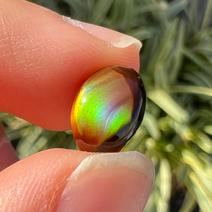 A loose, 3.38ct, pear shaped Mexican fire agate stone.  The stone shines a vivid, bright green color with a purple streak.