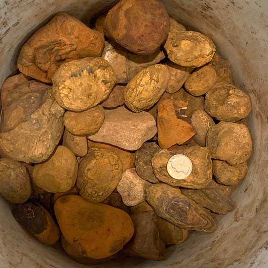 Z5- Rough Yowah Nut Opal Lot