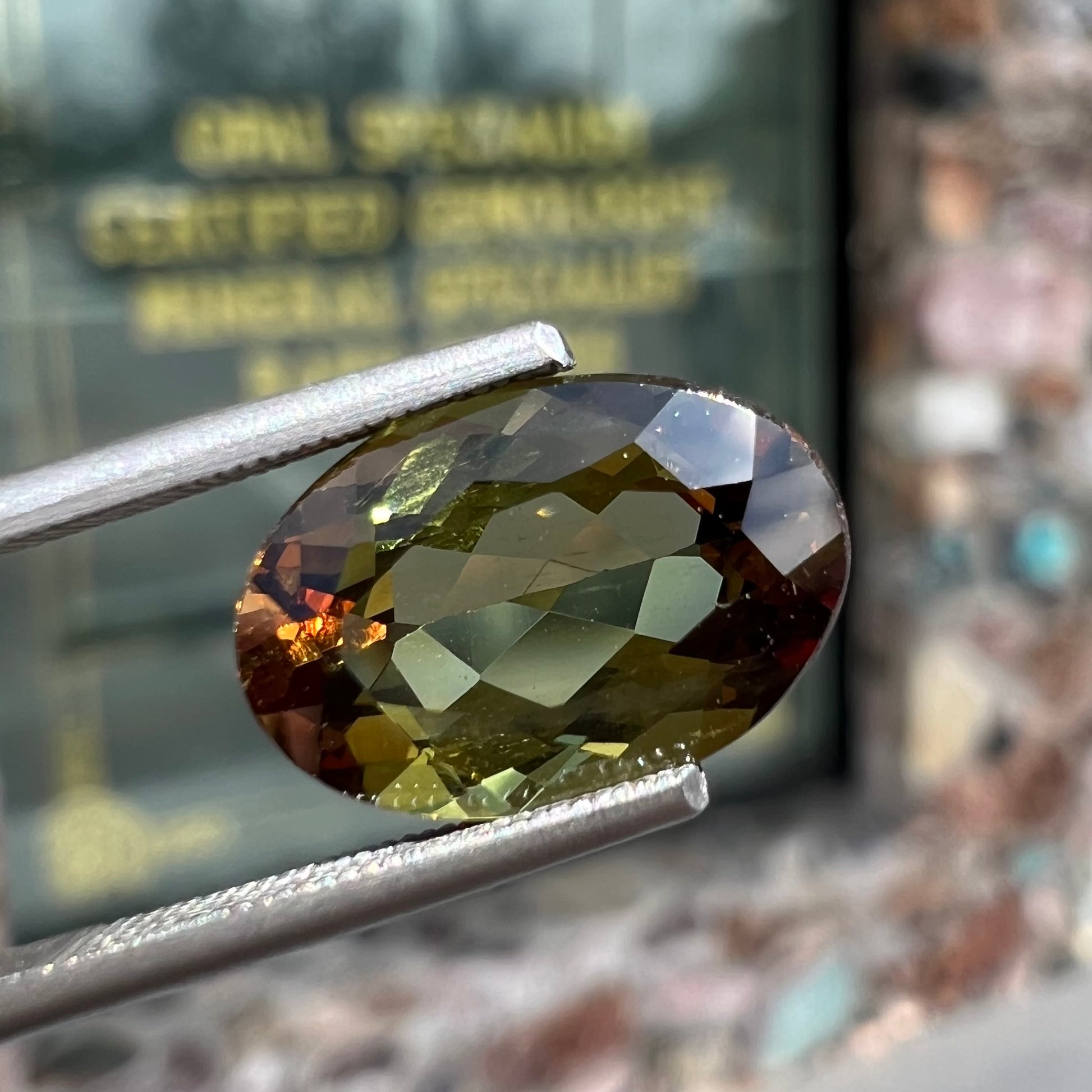 A loose, faceted oval cut andalusite gemstone.  The stone shows brown and green colors.