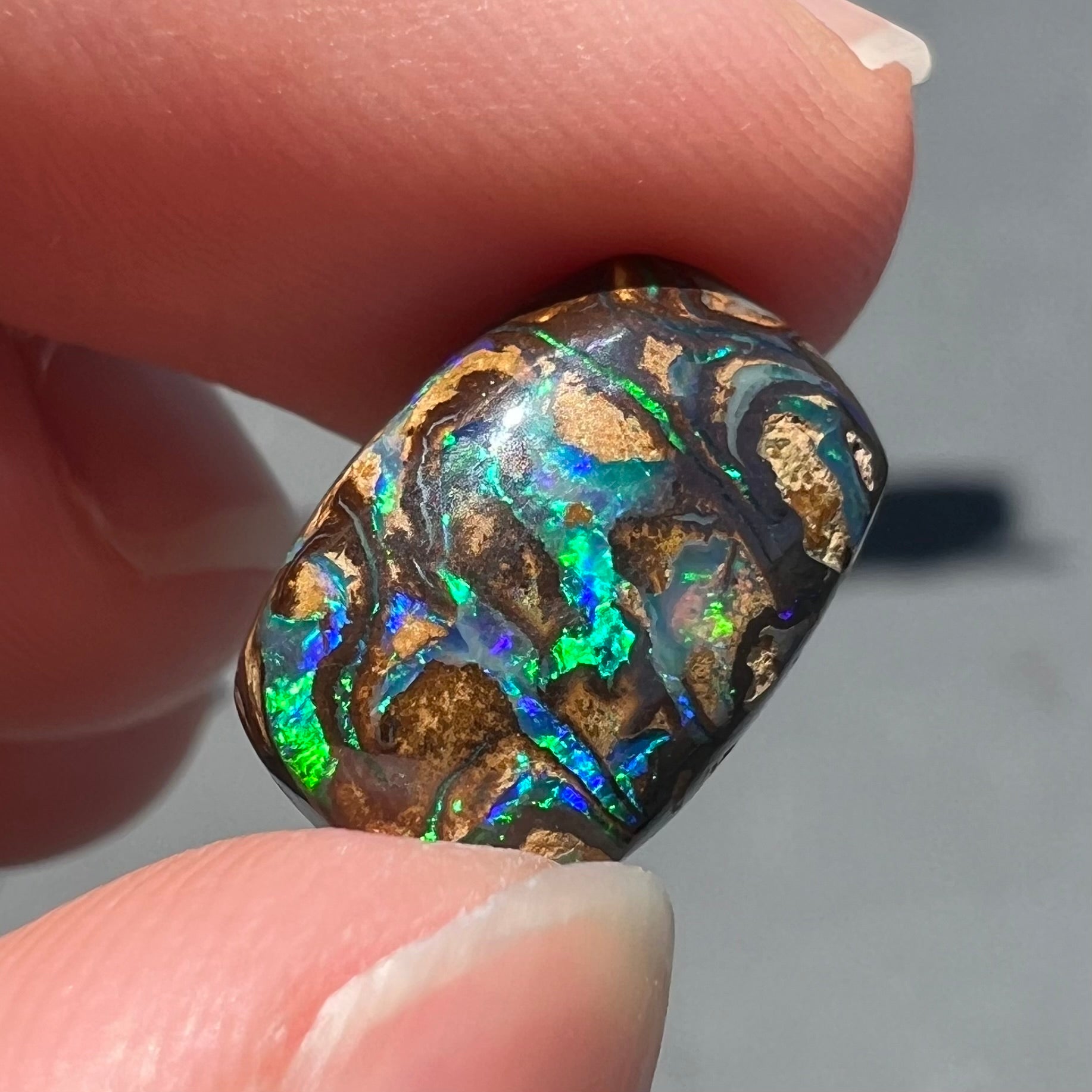 A loose, Koroit boulder opal stone.  The opal plays bright blue and green colors on a patterned matrix.