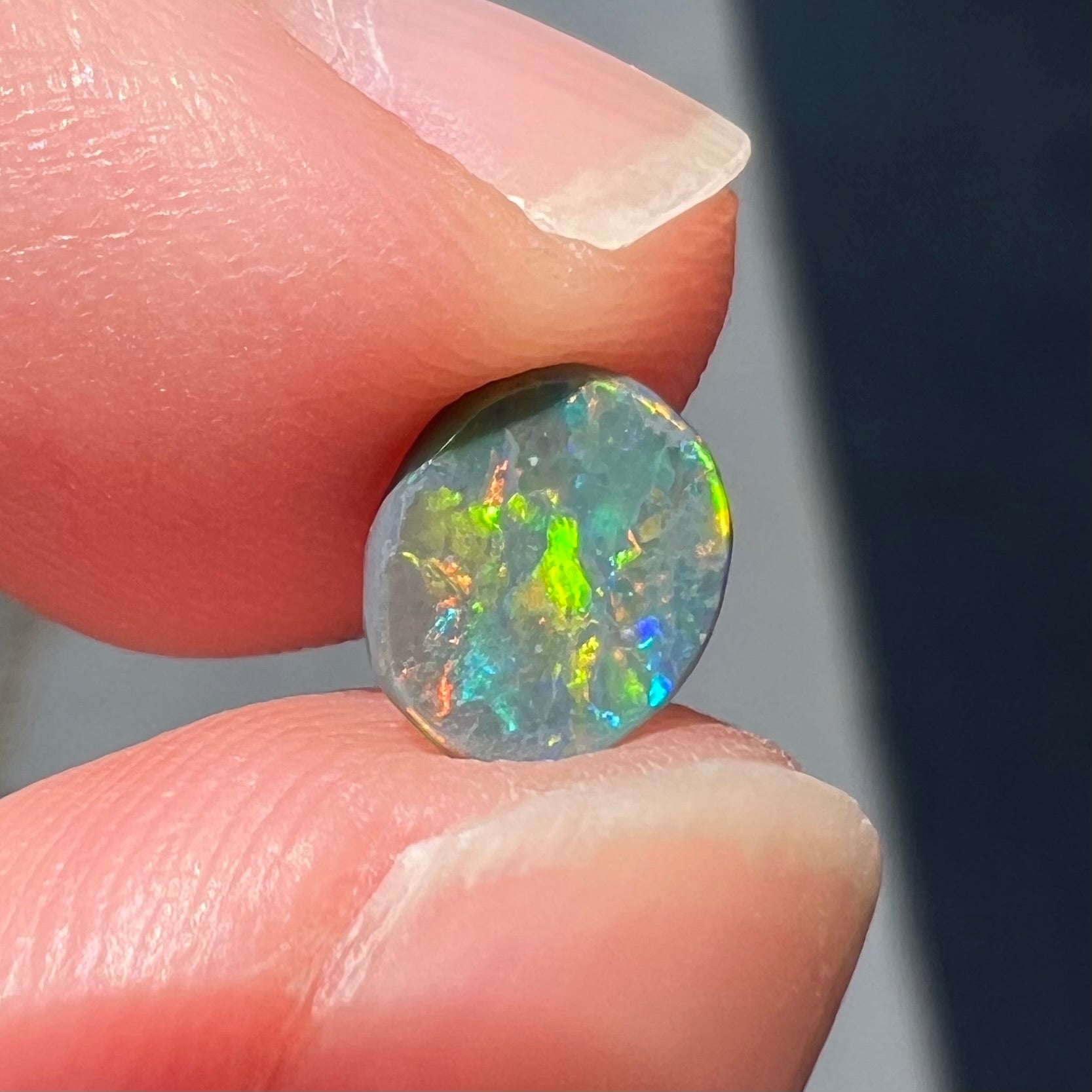 A loose oval cabochon cut black opal from Lightning Ridge, Australia.  The opal shows green and red colors.
