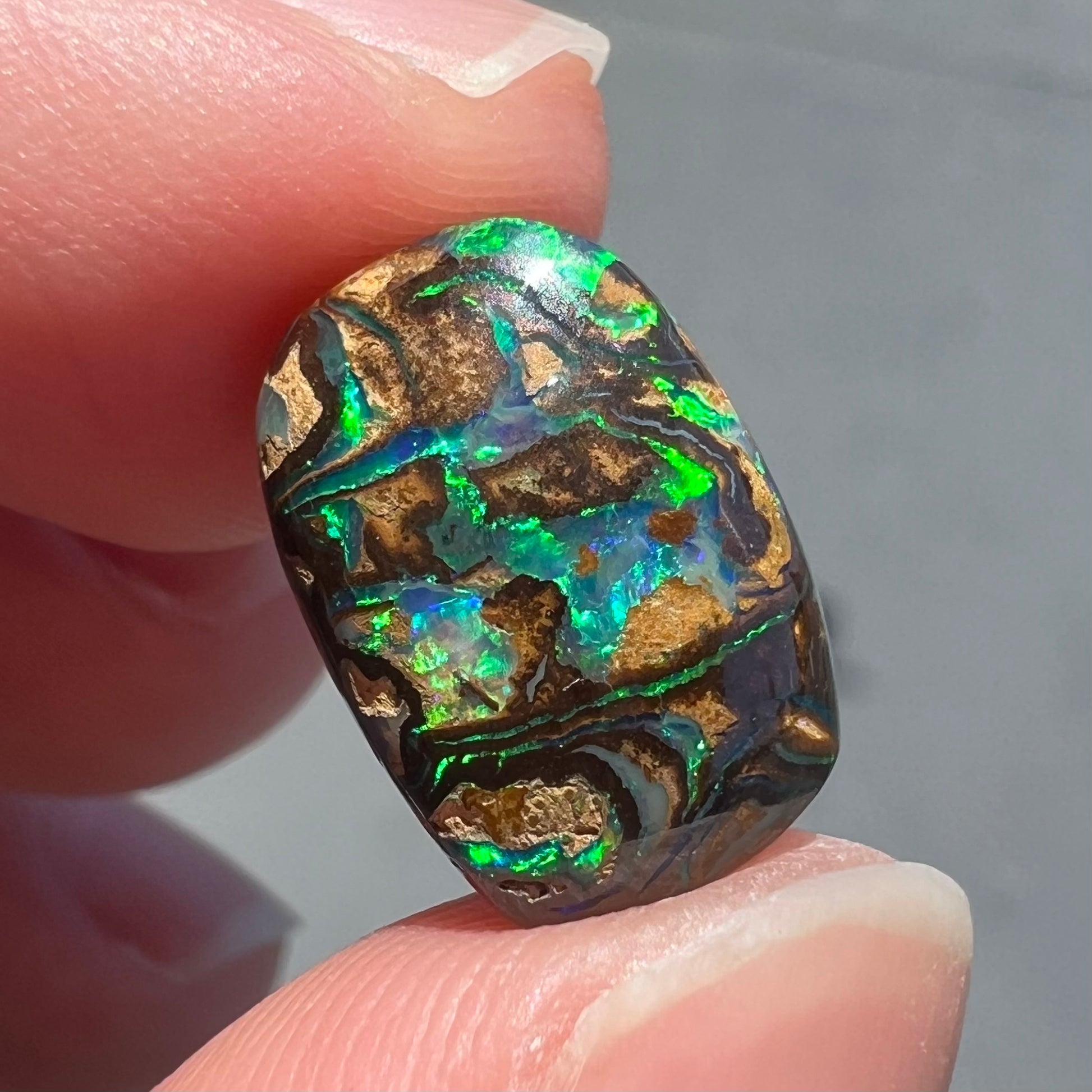 A loose, Koroit boulder opal stone.  The opal plays bright blue and green colors on a patterned matrix.