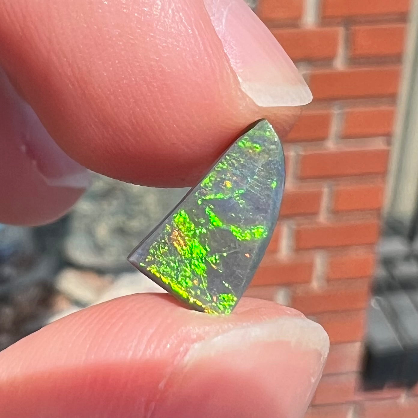 A loose, triangular shaped black opal stone from Lightning Ridge, Australia.  The opal has a bright green flash of color.