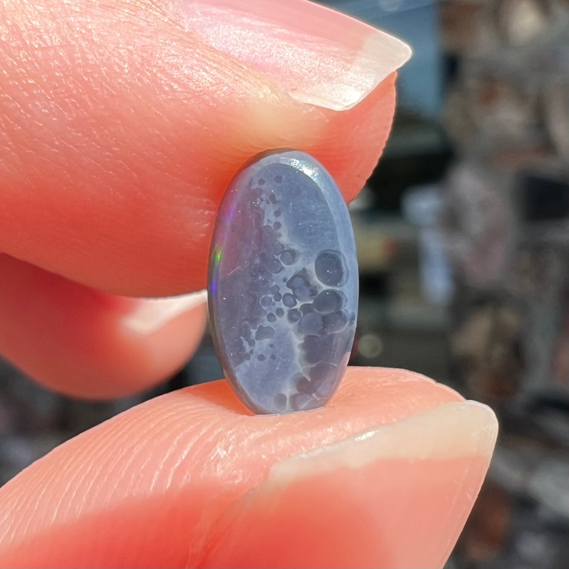 A loose, oval cabochon cut black opal stone from Lightning Ridge, Australia.  The opal has blue color play.