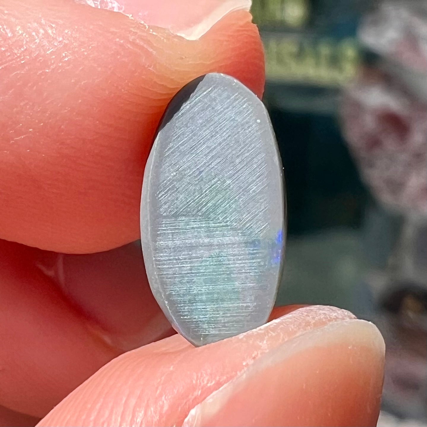 A loose, oval shaped black opal stone from Lightning Ridge, Australia.  The opal plays bright green and blue colors.