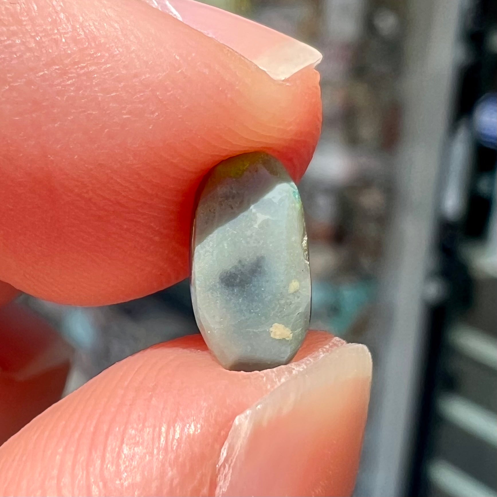 A loose, pill shaped black opal stone from Lightning Ridge, Australia.  The opal is green and blue.