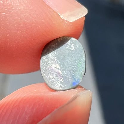 A loose oval cabochon cut black opal from Lightning Ridge, Australia.  The opal shows green and red colors.