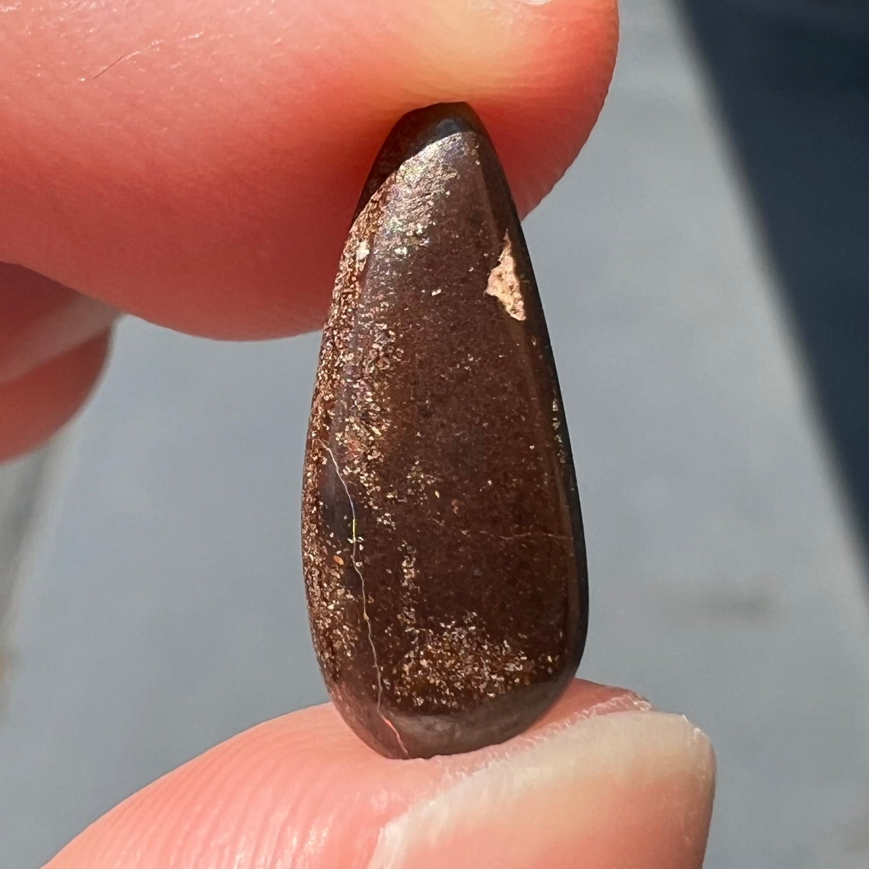A loose, pear shaped boulder opal stone from Quilpie, Australia.  The opal shines every color of the rainbow.