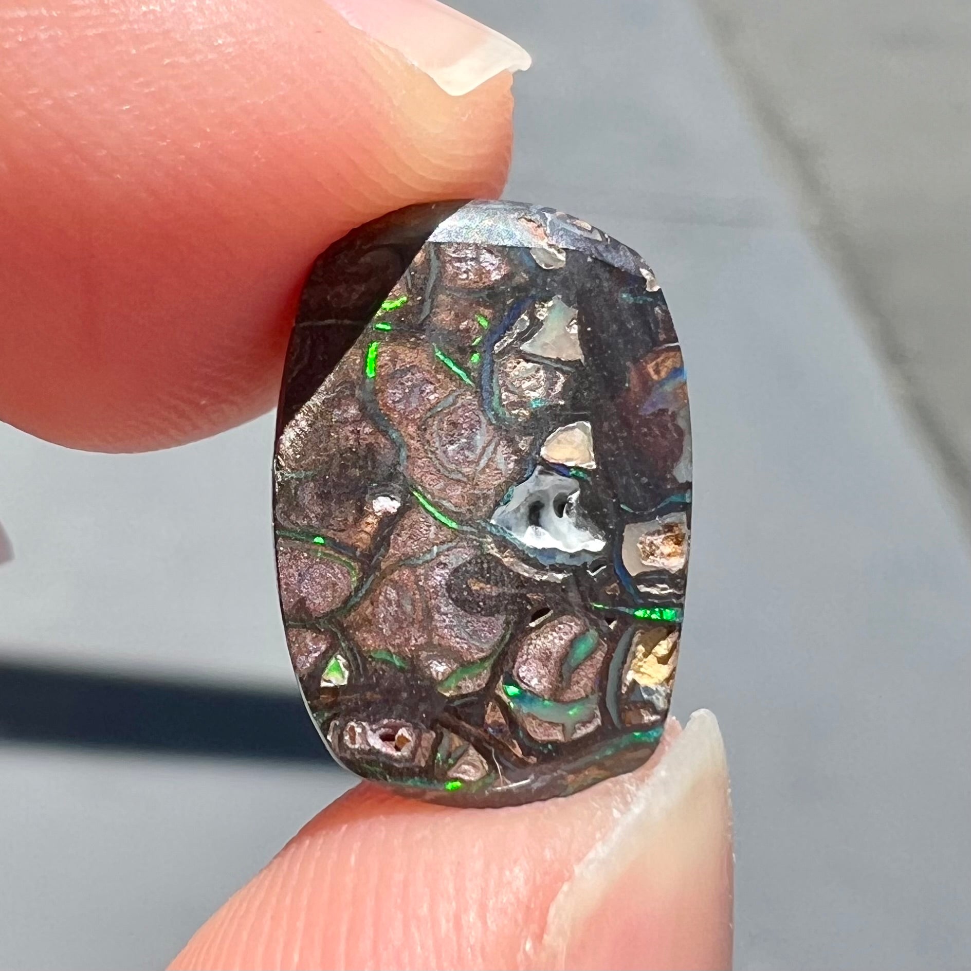 A loose, Koroit boulder opal stone.  The opal plays bright blue and green colors on a patterned matrix.