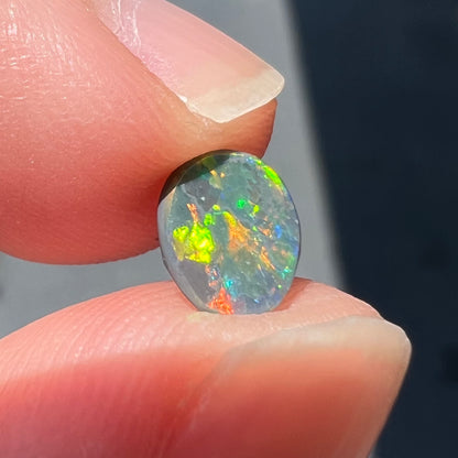 A loose oval cabochon cut black opal from Lightning Ridge, Australia.  The opal shows green and red colors.