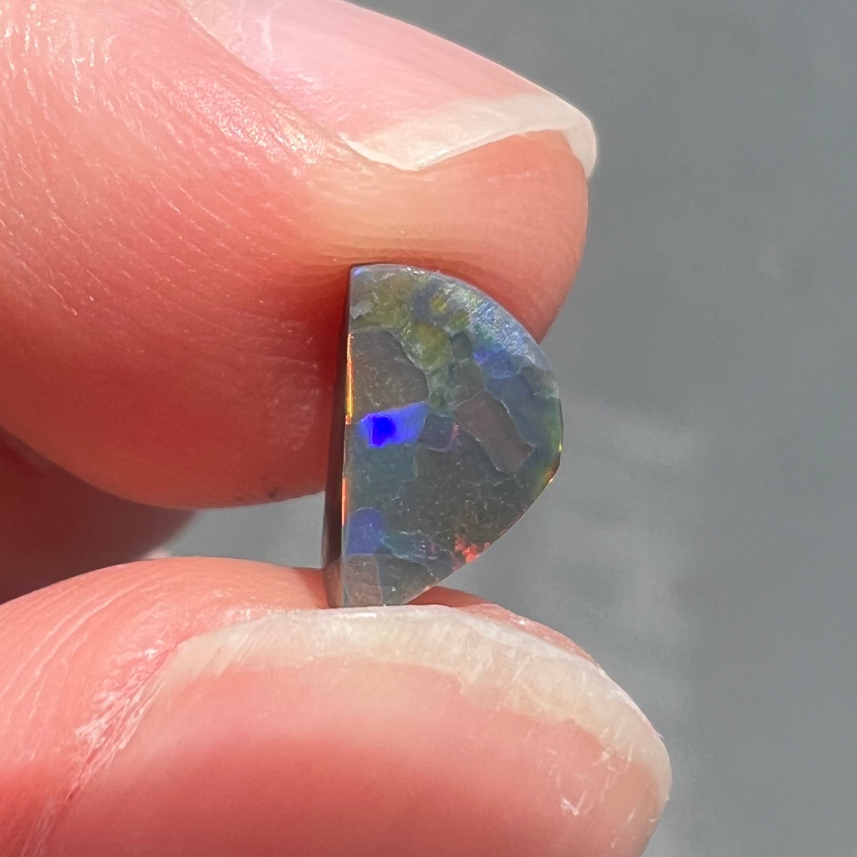 A loose, freeform cut black opal stone from Lightning Ridge, Australia.  The opal shines bright orange colors.