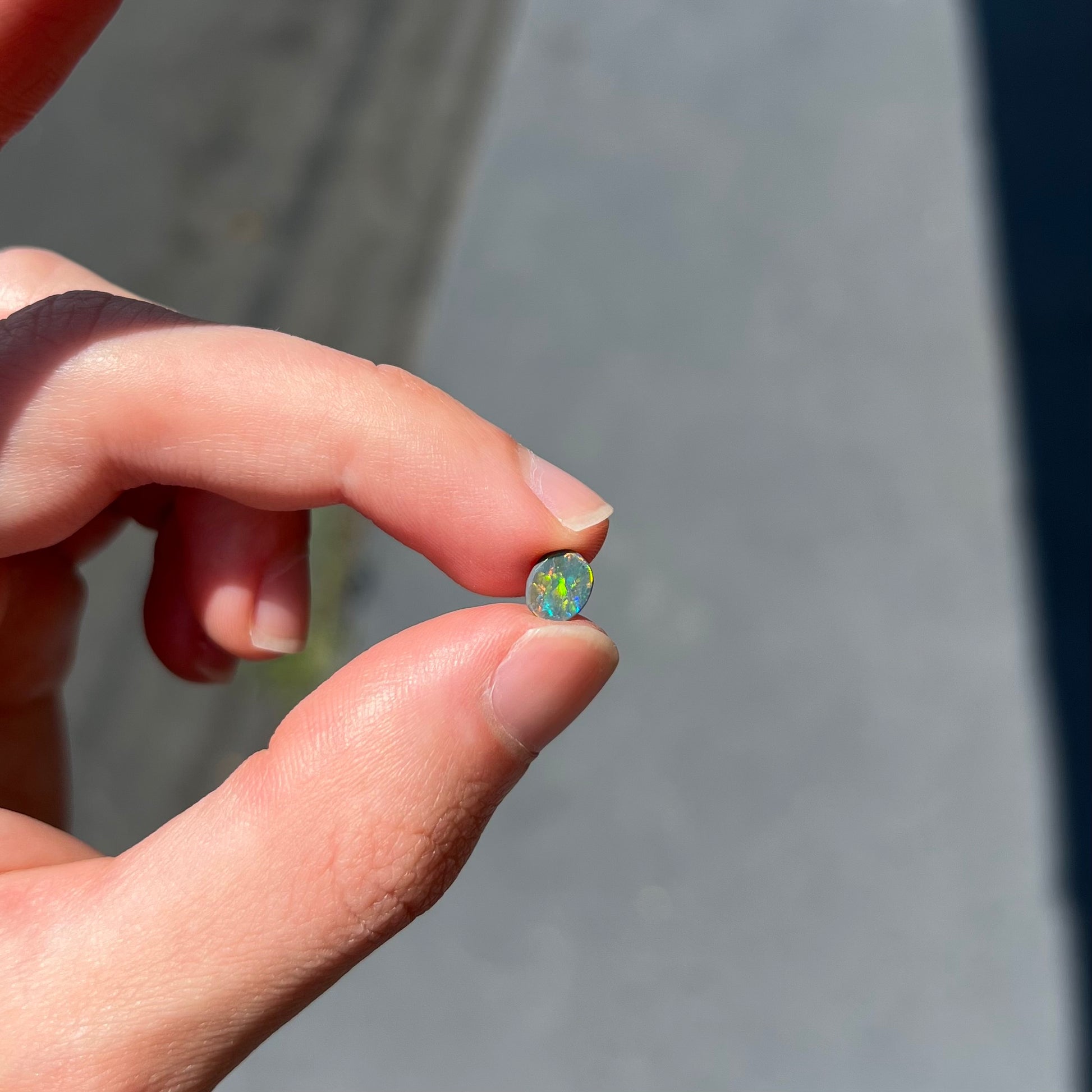 A loose oval cabochon cut black opal from Lightning Ridge, Australia.  The opal shows green and red colors.