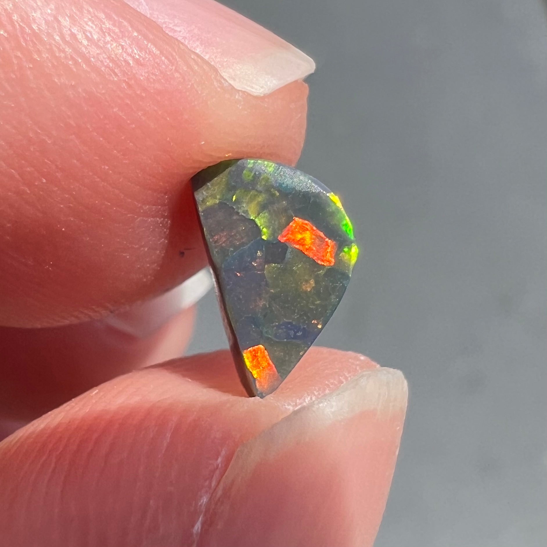 A loose, freeform cut black opal stone from Lightning Ridge, Australia.  The opal shines bright orange colors.