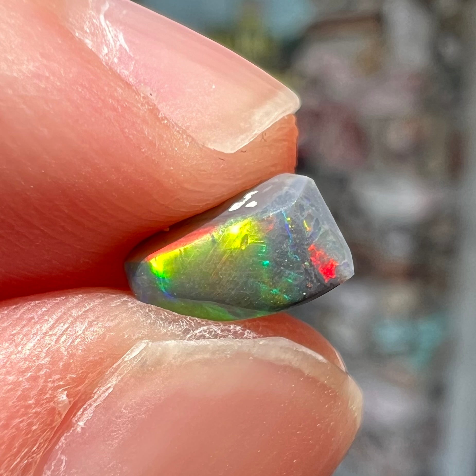 A freeform shaped black opal stone from Lightning Ridge, Australia.